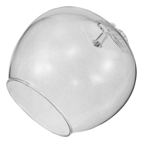 Eternal flower display dome - eternal,